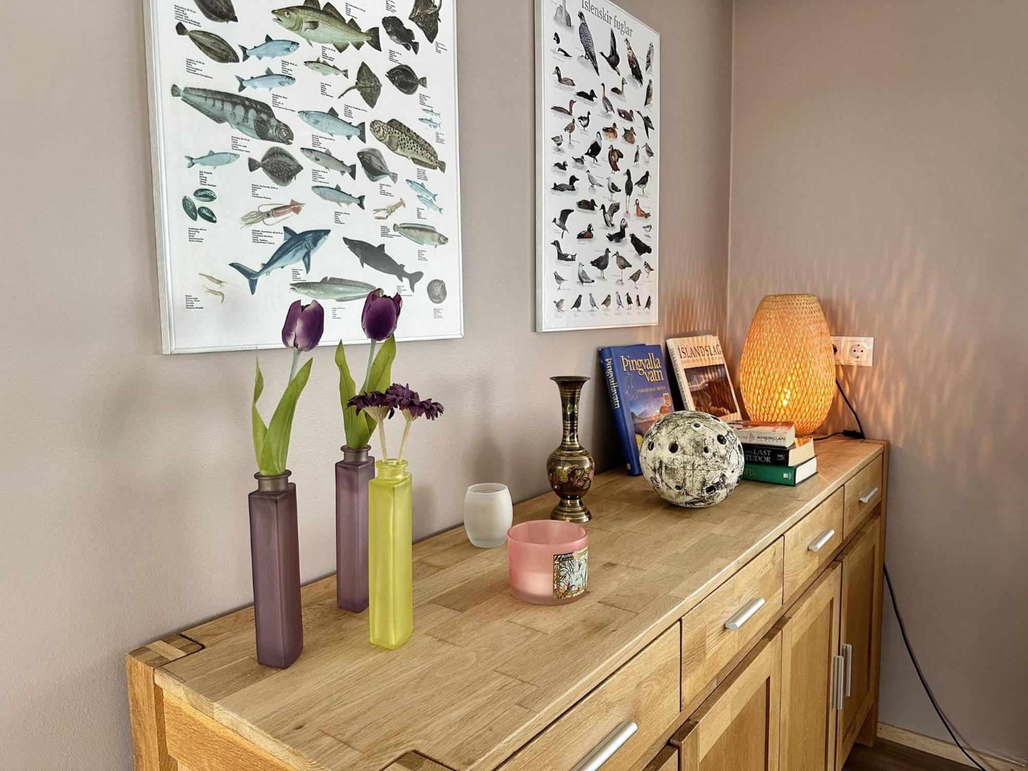Albert Guesthouse Hvammstangi Zewnętrze zdjęcie